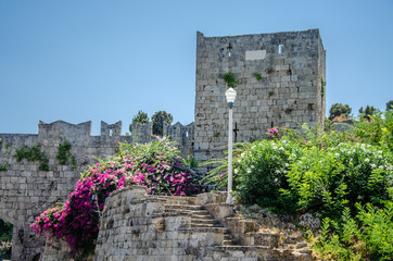 Fototapete bei efototapeten.de bestellen   