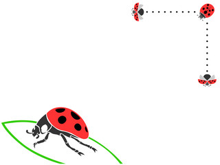 てんとう虫　葉っぱ　虫　昆虫　名刺風　イラスト　カラー