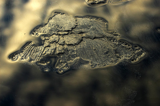 Nasse Bilder Durchsuchen 4,284,039 Archivfotos, und