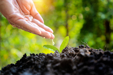 Business Growth concept