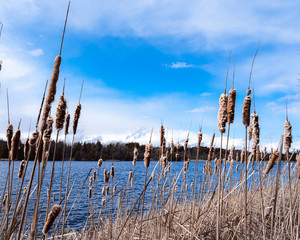 Waterfront Blue Sky White Clouds