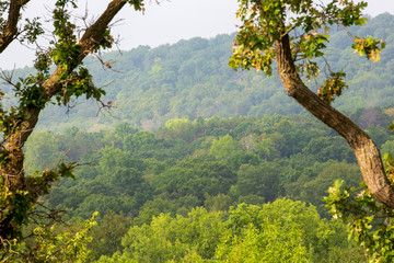 River valley in summer on the St Croix River between Minnesota and Wisconsin