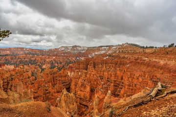 Snow in Bryce Canyon National Park, Utah