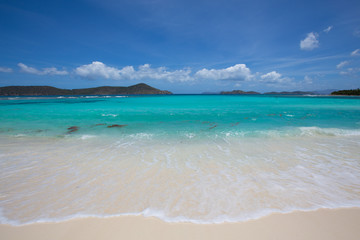 tropical beach with palm trees