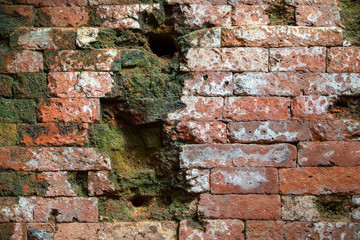 Red brick wall of temple covered with green moss in My Son