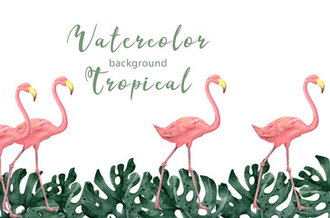 Hand drawn watercolor tropical banner with jungle leaves. Exotic leaves illustrations horizontal frame, jungle tree, brazil trendy. Perfect for design.