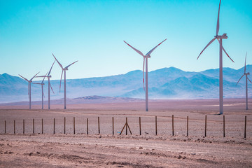 wind turbines farm