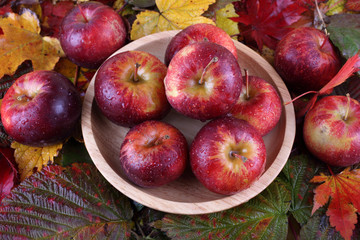 Apples on autumn leaves