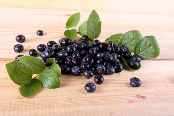 Blueberry harvest