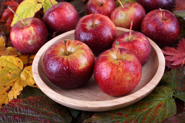 Apples on autumn leaves