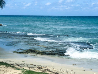 Ocean waves crash gently on the shore lined with sand and rocks and algae with sunny day and blue sky in background