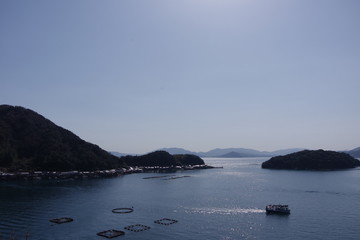 海と島と養殖場