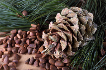 Cedar pine nuts