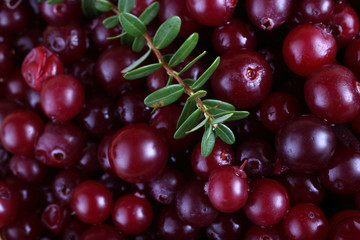 Cranberries background