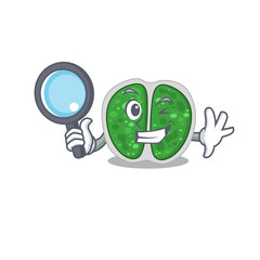 Smart Detective of chroococcales bacteria mascot design style with tools