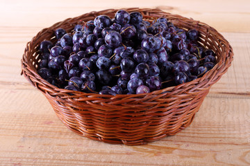 Blueberry harvest
