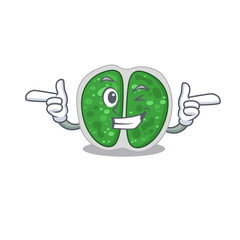 Cartoon design concept of chroococcales bacteria with funny wink eye