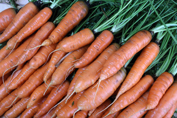 Carrots on table