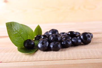 Blueberry harvest