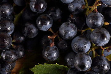 Wine grape on table