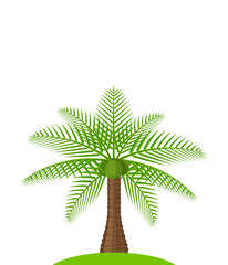 Fototapeta premium coconut tree simple isolated on white, illustration coconut palm tree, coconut tree for clip art, palm tree on small hill island