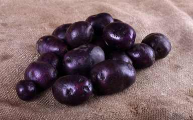 Violet potatoes on bagging