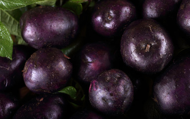 Violet potatoes