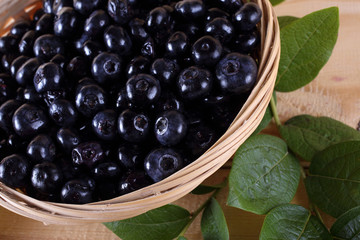 Blueberry harvest