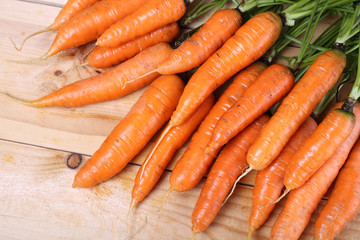 Carrots harvest
