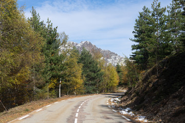 Fototapeta premium Col de Vergio dans les montagnes corses