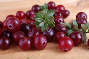 Cranberry on table