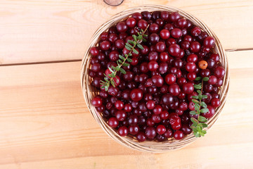 Cranberry on table