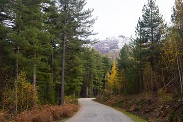 Route dans la montagne corse &agrave; l'automne