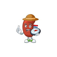 World explorer leaf human kidney cartoon design style using compass