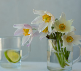 Delicate white spring flowers in a glass bowl