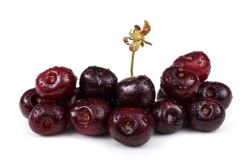 Cherry isolated on white background