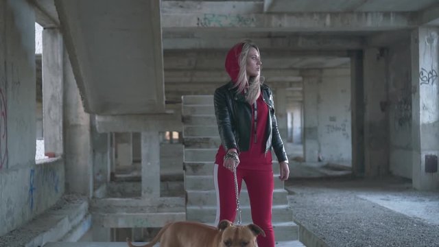 Dog training concept. In the frame, the American Staffordshire Terrier and his mistress are standing in an abandoned unfinished building against the backdrop of a stairwell.