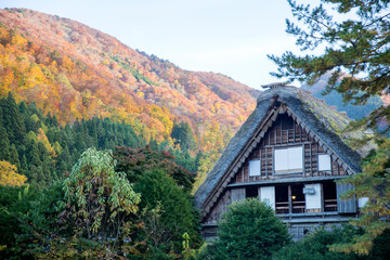 Fototapeta na wymiar Historic village of Shirakawago in Japan