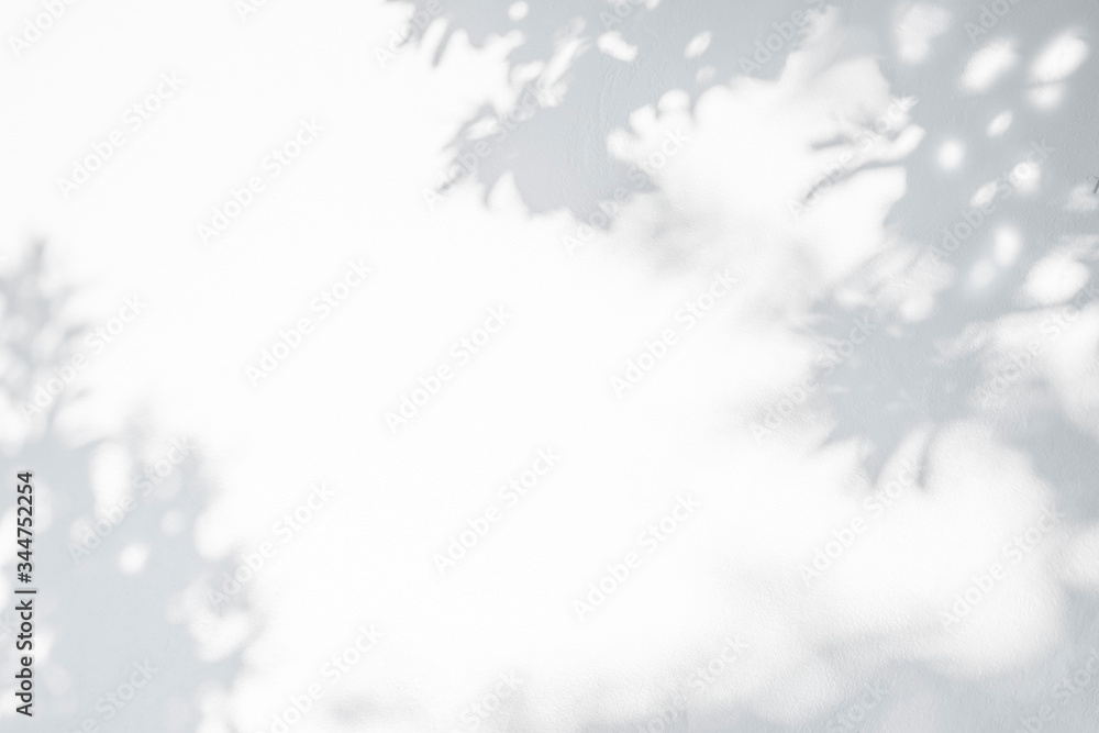 Poster leaves shadow and tree branch background. natural leaves tree branch dark shadow and light from sunl