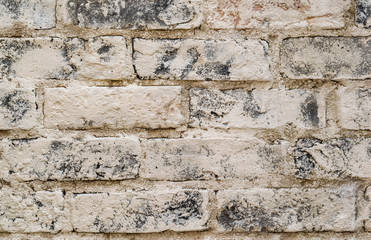 Brick wall Background Copyspace  