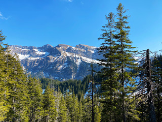 Alpine peaks Tomlishorn and Widderfeld in the Mountain massif Pilatus or Mount Pilatus, Eigenthal -...