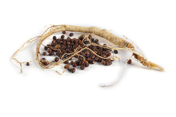Ginseng isolated on white background