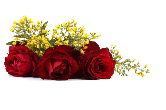 Roses and little yellow flowers isolated on white