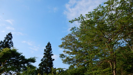 Fototapeta premium 風景