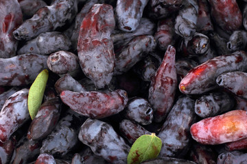 Honeysuckle berries background