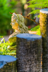 Botanical Gardens of El Huerto del Cura in Elche near Alicante. Alicante province. Spain