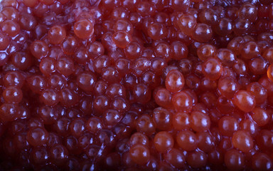 Red caviar background