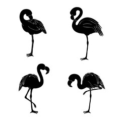 Black silhouette of three flamingos on white background