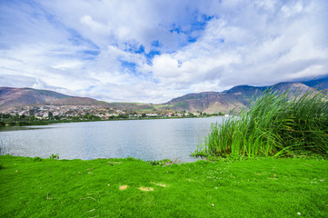 Fototapeta na wymiar Beautiful view of some typical plants in the beautiful lake in Yahuarcocha , with a gorgeous cloudy day with the mountain behind in Ecuador