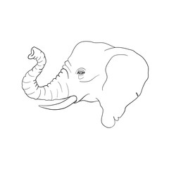 hand drawn sketch of asian elephant illustration done in black ink and isolated on white background